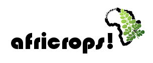 africropsWebheader